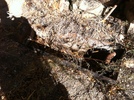 Featured Detail Photo