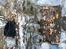 Featured Detail Photo