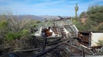 photo thumbnail #2