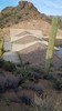 photo thumbnail #13