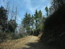photo thumbnail #9