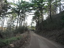 photo thumbnail #10