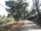 photo thumbnail #12