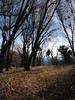 photo thumbnail #2