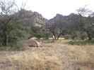 2013-11-30 :2: Rogers Canyon - JF Trail Loop :: Alex