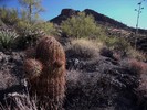 photo thumbnail #12