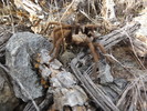 photo thumbnail #2
