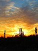 photo thumbnail #15