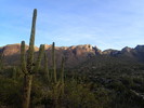 photo thumbnail #1