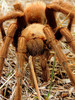 photo thumbnail #12