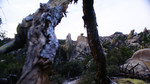 photo thumbnail #10