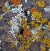 photo thumbnail #10