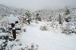 photo thumbnail #7