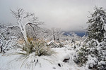 photo thumbnail #8