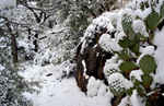 photo thumbnail #13