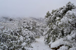photo thumbnail #15