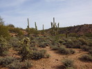 photo thumbnail #3
