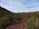 photo thumbnail #9