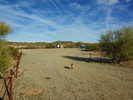 photo thumbnail #13