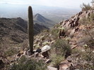 photo thumbnail #12