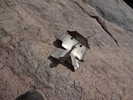photo thumbnail #13