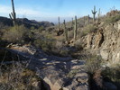 photo thumbnail #3