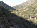 photo thumbnail #7