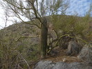 photo thumbnail #15