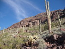 photo thumbnail #3