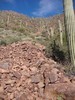 photo thumbnail #6