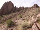 photo thumbnail #14