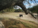 photo thumbnail #8