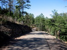 photo thumbnail #10