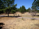 photo thumbnail #12