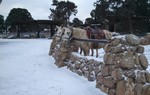 photo thumbnail #9