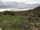 photo thumbnail #11