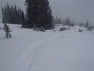 photo thumbnail #3