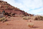 photo thumbnail #9