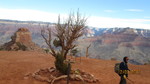 photo thumbnail #12