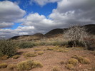 photo thumbnail #4
