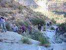 photo thumbnail #14