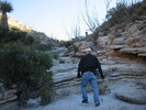 photo thumbnail #15