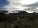 2013-12-07 :1: Pointe Tapatio Golf Course Loop #1 :: kingsnake