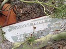 photo thumbnail #8