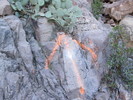 photo thumbnail #3