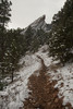 photo thumbnail #14