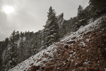 photo thumbnail #15