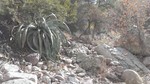 photo thumbnail #10