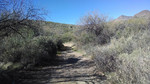 photo thumbnail #2