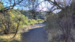 photo thumbnail #14